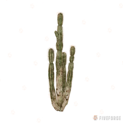 prop_cactus_01a GTA 5 object