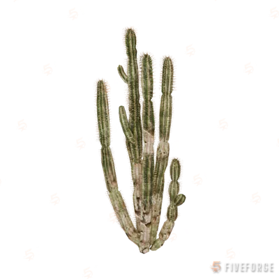 prop_cactus_01b GTA 5 object