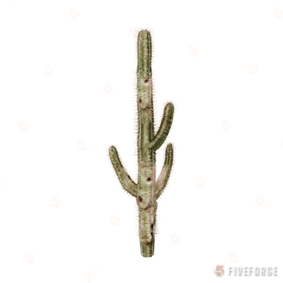 prop_cactus_01c GTA 5 object