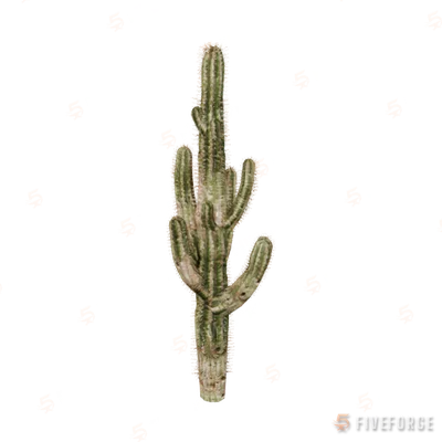 prop_cactus_01d GTA 5 object
