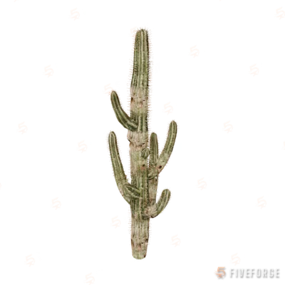 prop_cactus_01e GTA 5 object