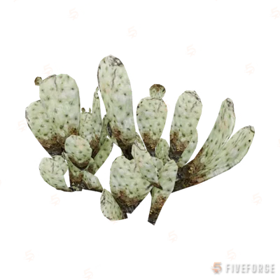 prop_cactus_02 GTA 5 object