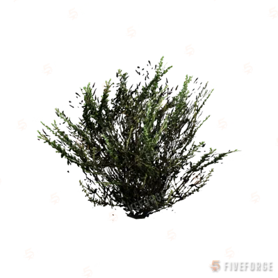 prop_cat_tail_01 GTA 5 object