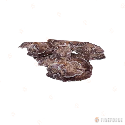 prop_coral_flat_01_l1 GTA 5 object