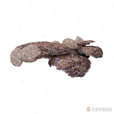 prop_coral_flat_brainy GTA 5 object