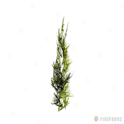 prop_coral_kelp_01 GTA 5 object