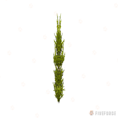 prop_coral_kelp_01_l1 GTA 5 object