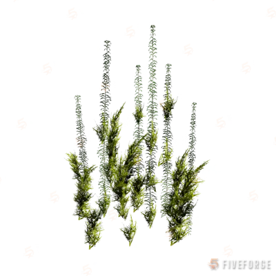 prop_coral_kelp_02 GTA 5 object