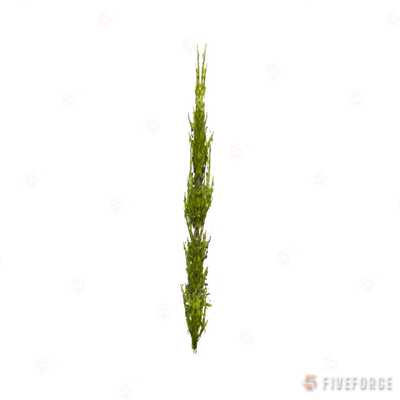 prop_coral_kelp_03_l1 GTA 5 object