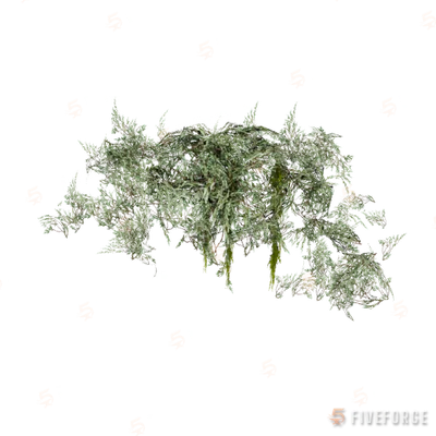 prop_coral_kelp_03d GTA 5 object