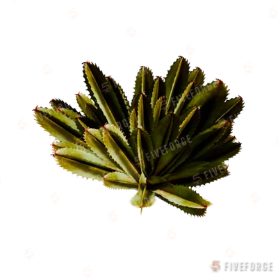 prop_coral_spikey_01 GTA 5 object