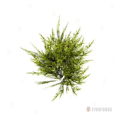 prop_coral_sweed_01 GTA 5 object