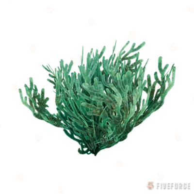 prop_coral_sweed_02 GTA 5 object