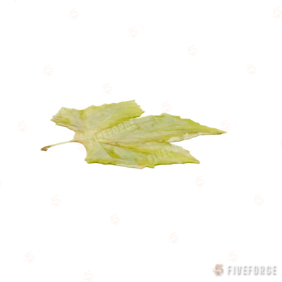 prop_cs_leaf GTA 5 object