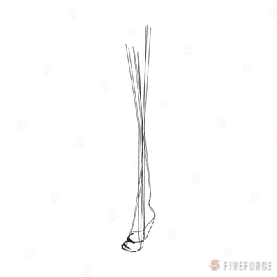 prop_cs_para_ropes GTA 5 object