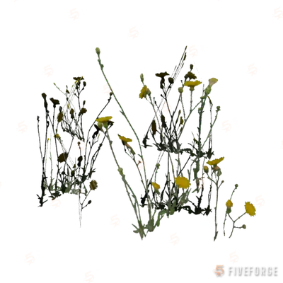prop_dandy_b GTA 5 object