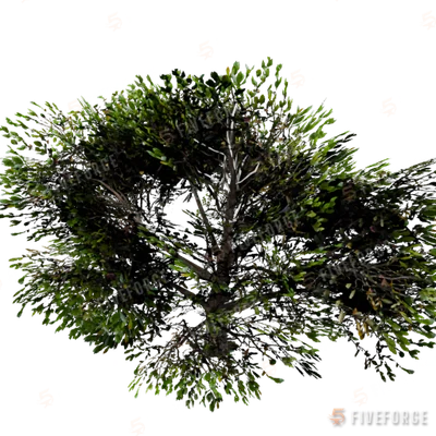 prop_desert_iron_01 GTA 5 object