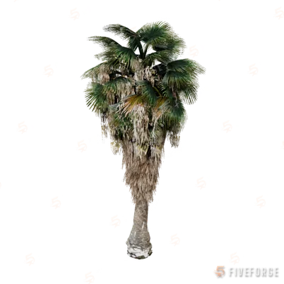 prop_fan_palm_01a GTA 5 object