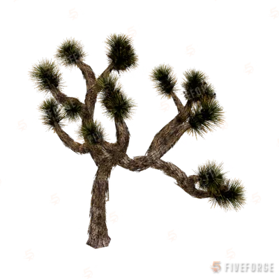 prop_joshua_tree_01a GTA 5 object