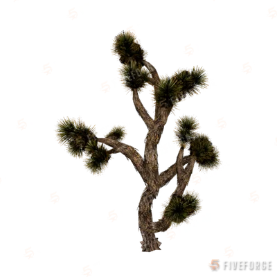 prop_joshua_tree_01d GTA 5 object