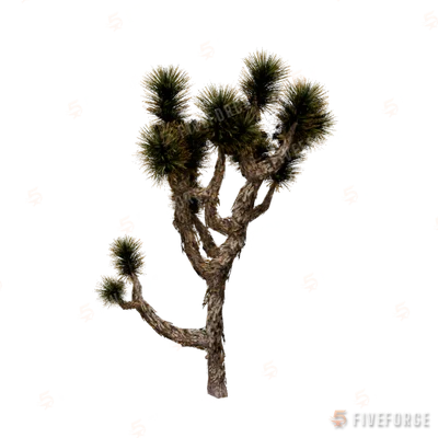 prop_joshua_tree_02a GTA 5 object