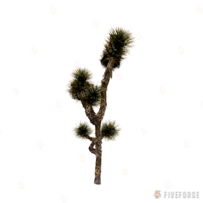 prop_joshua_tree_02b GTA 5 object
