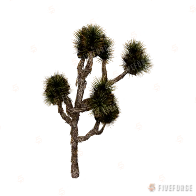 prop_joshua_tree_02c GTA 5 object