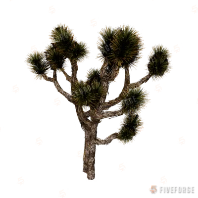 prop_joshua_tree_02e GTA 5 object