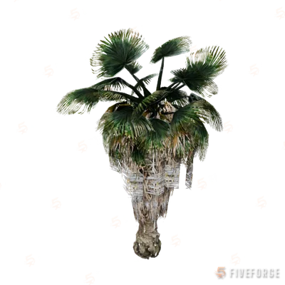 prop_palm_fan_02_a GTA 5 object