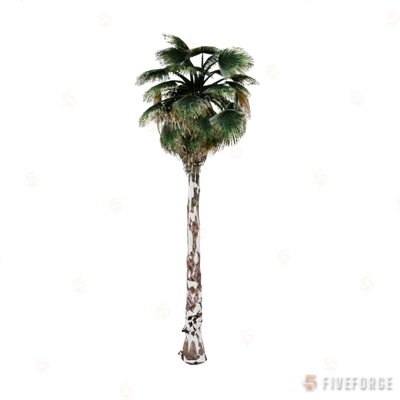 prop_palm_fan_03_b GTA 5 object