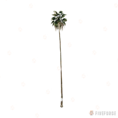 prop_palm_huge_01a GTA 5 object