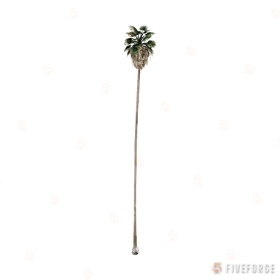 prop_palm_huge_01b GTA 5 object