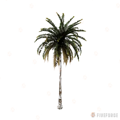 prop_palm_med_01a GTA 5 object