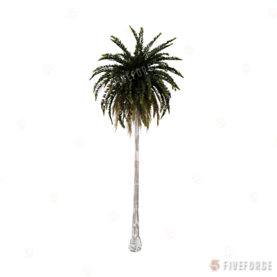 prop_palm_med_01b GTA 5 object