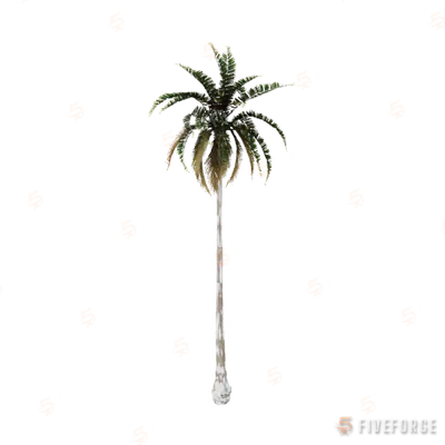 prop_palm_med_01c GTA 5 object