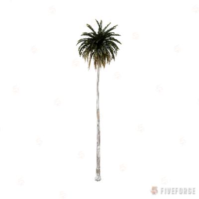 prop_palm_med_01d GTA 5 object