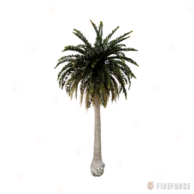 prop_palm_sm_01e GTA 5 object