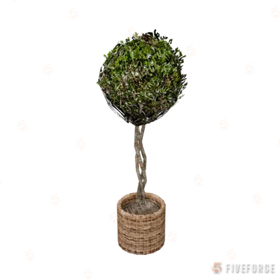prop_plant_int_02b GTA 5 object