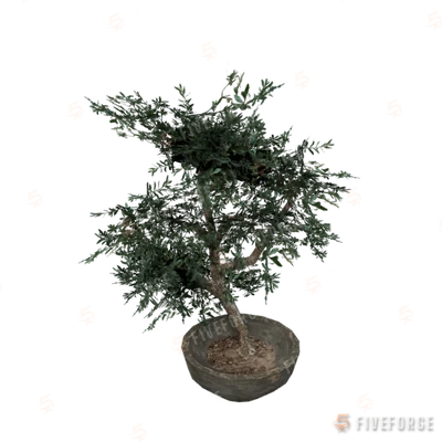 prop_plant_int_04b GTA 5 object