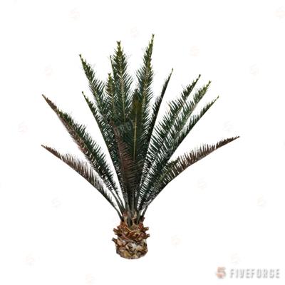 prop_plant_palm_01a GTA 5 object