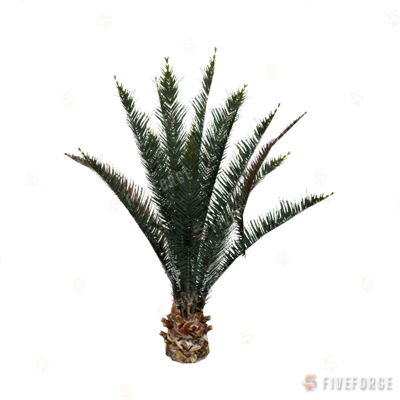 prop_plant_palm_01b GTA 5 object