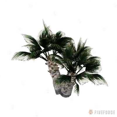 prop_plant_palm_01c GTA 5 object