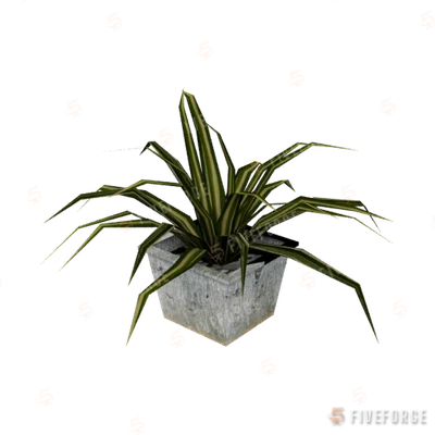 prop_pot_plant_01b GTA 5 object