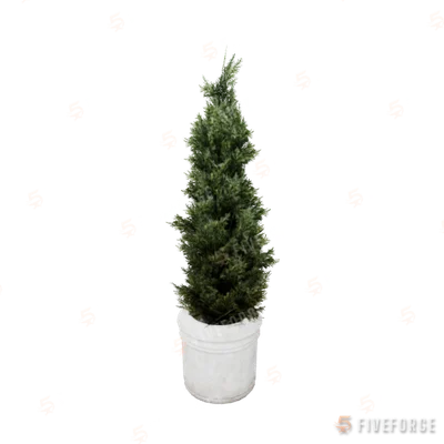prop_pot_plant_03a GTA 5 object