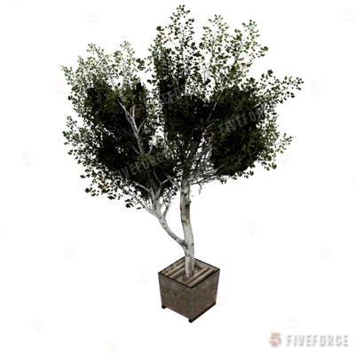prop_prop_tree_01 GTA 5 object