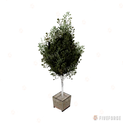 prop_prop_tree_02 GTA 5 object