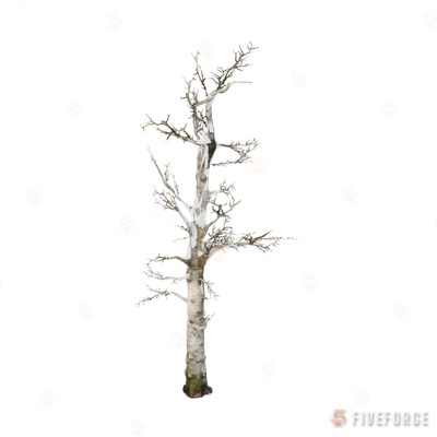 prop_s_pine_dead_01 GTA 5 object