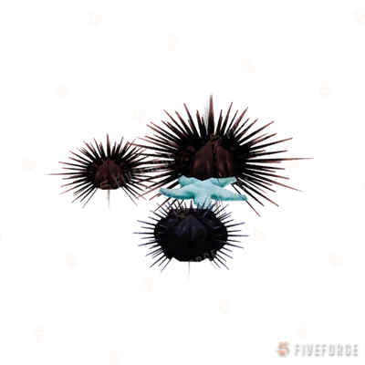 prop_sealife_02 GTA 5 object