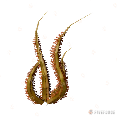 prop_sealife_03 GTA 5 object