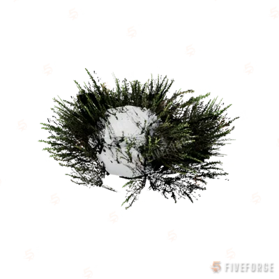 prop_skunk_bush_01 GTA 5 object